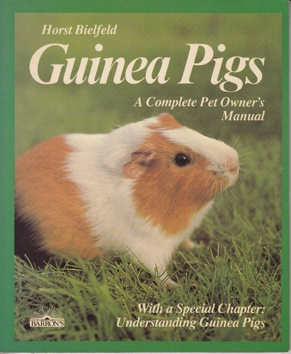 Guinea pigs everything - guinea, about