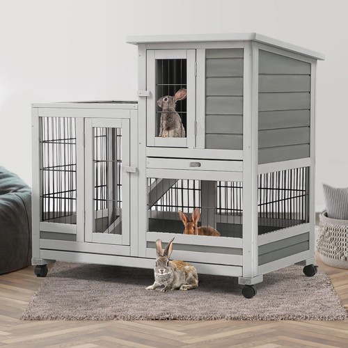 Rabbit hutch pet - hutch,