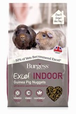 Burgess Excel Indoor Guinea