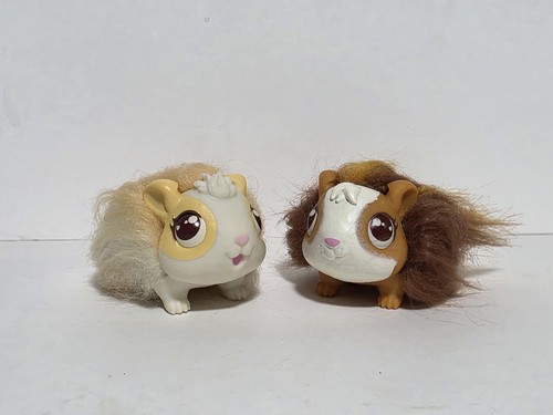 Lot little live pets - live,