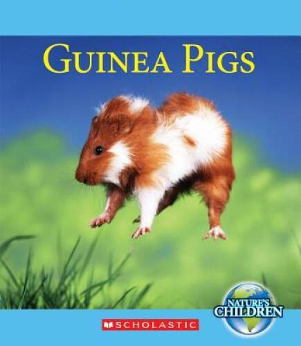 Guinea pigs natures - guinea,
