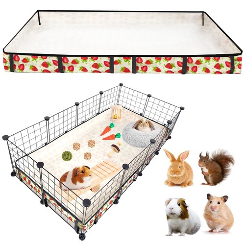 Jogepeyo guinea pig - jogepeyo, cage