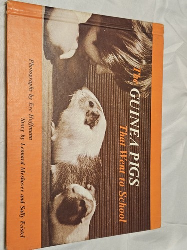 The guinea pigs - guinea, to