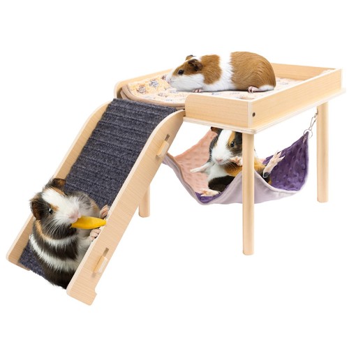 Besnew enlarged guinea pig - enlarged,