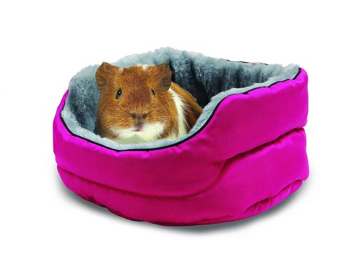 Cozy cuddle bed for - cozy,
