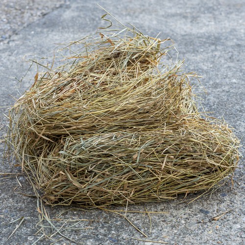 Natural straw pet bedding 400g - natural,