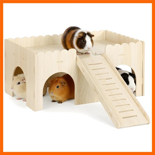 Set guinea pig - guinea, hideout