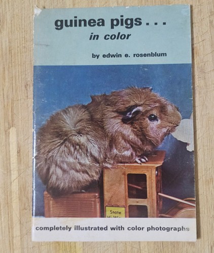 Vintage 1969 guinea pigs - vintage,