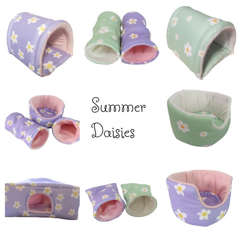 Summer daisies guinea - summer, pig