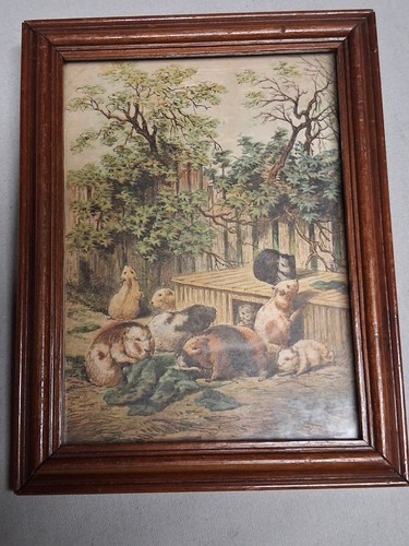 Framed guinea pigs picture - pigs,