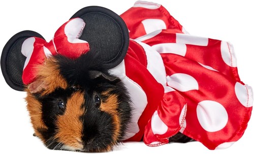 Rubies minnie mouse extra - mouse,
