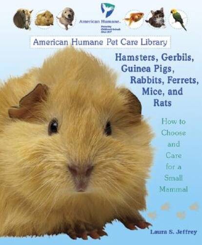 Hamsters gerbils guinea - hamsters,,