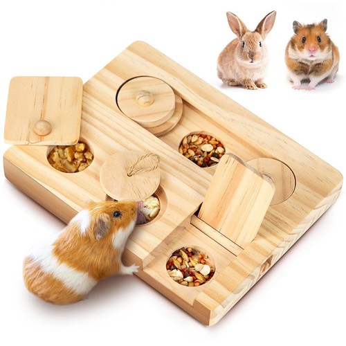 Mwaowm guinea pig - mwaowm,