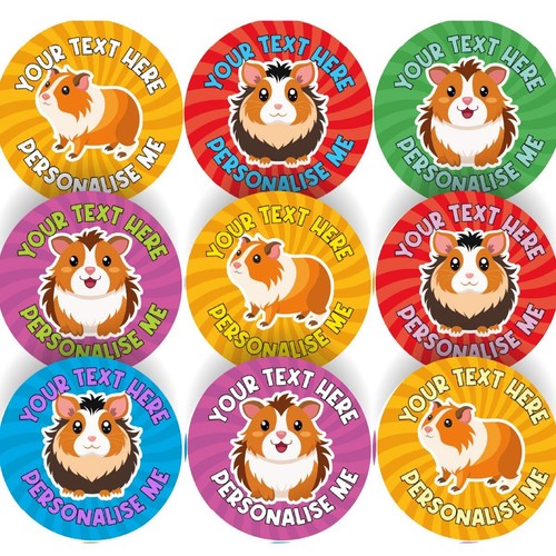 144 personalised guinea - guinea, pigs