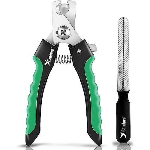Dog nail clippers pet - nail,