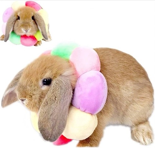Small animal recovery collar - animal,