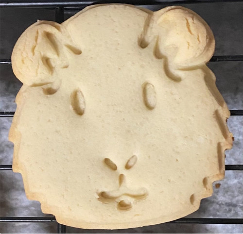Guinea pig cookie - pig,