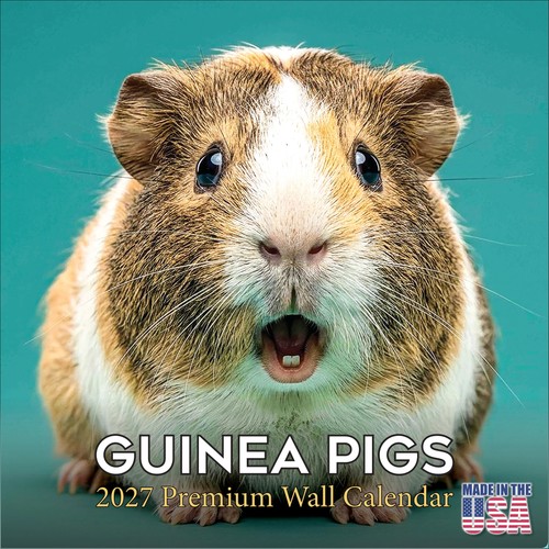 Guinea pigs 2027 wall - pigs, calendar