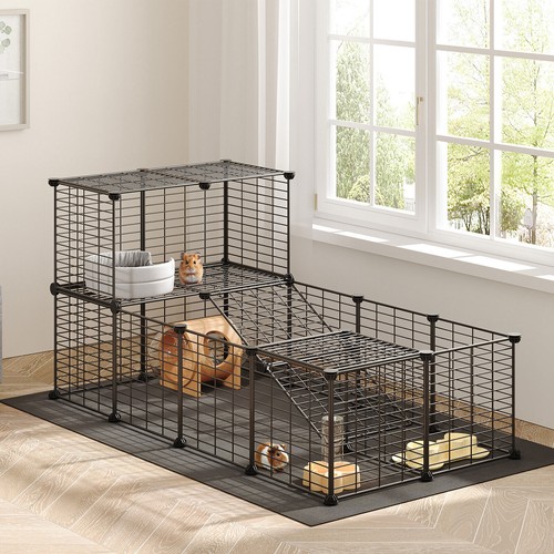 Hoobro guinea pig - guinea, with